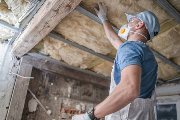 Best Geographic-Specific Insulation Services in Marshall, TX